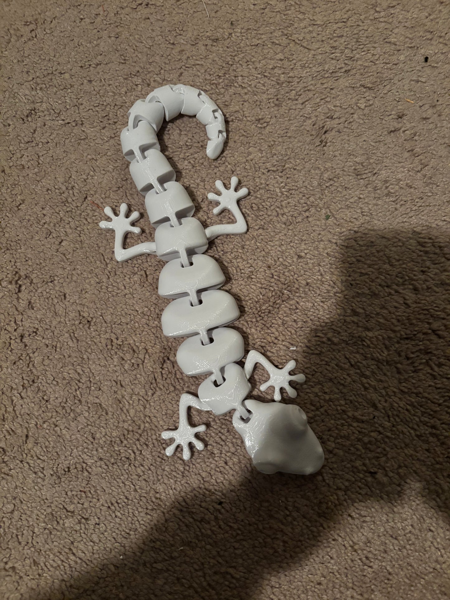 white lizard